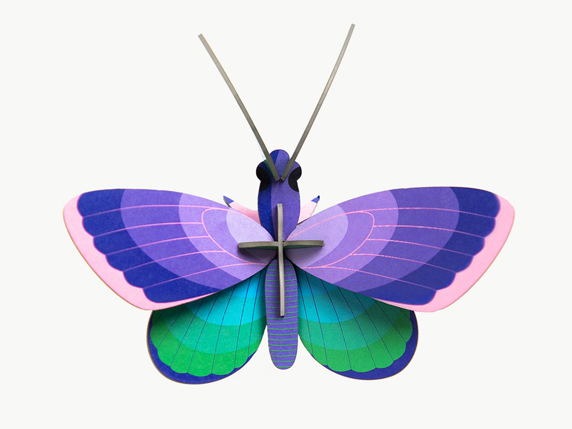 Blue Copper Butterfly – Bild 3