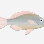 Goldenfish Etui