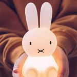 MIFFY Bundle of Light, Mr Maria