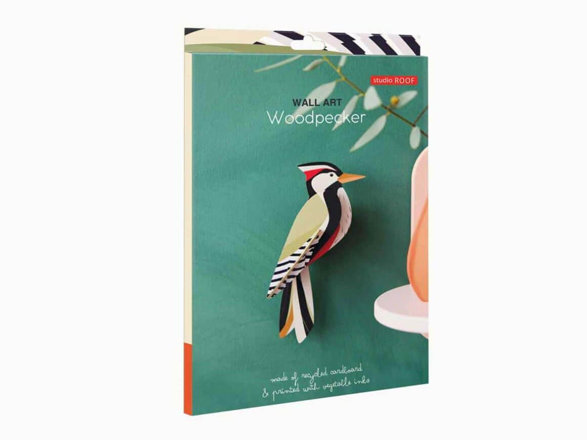 Woodpecker | Specht – Bild 4