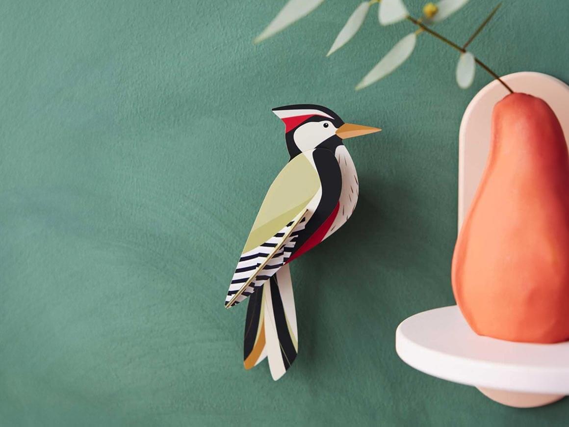 Woodpecker | Specht