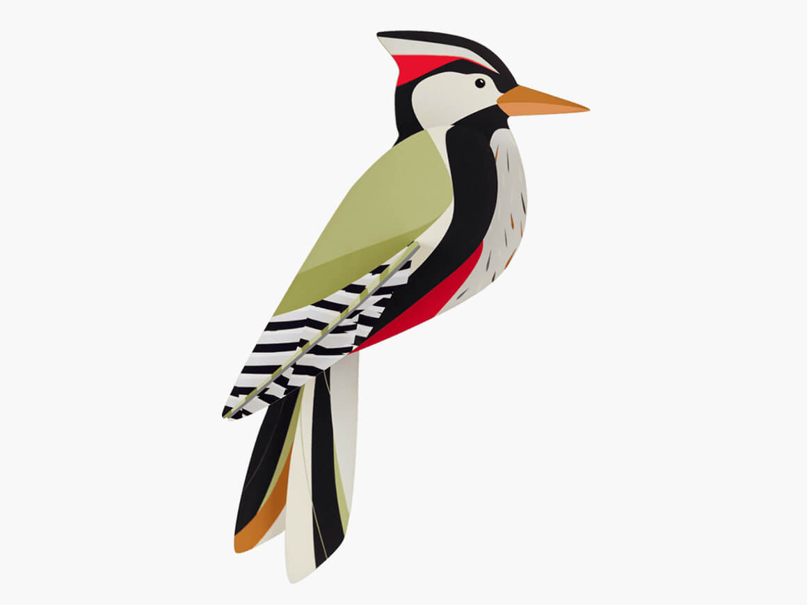 Woodpecker | Specht – Bild 3