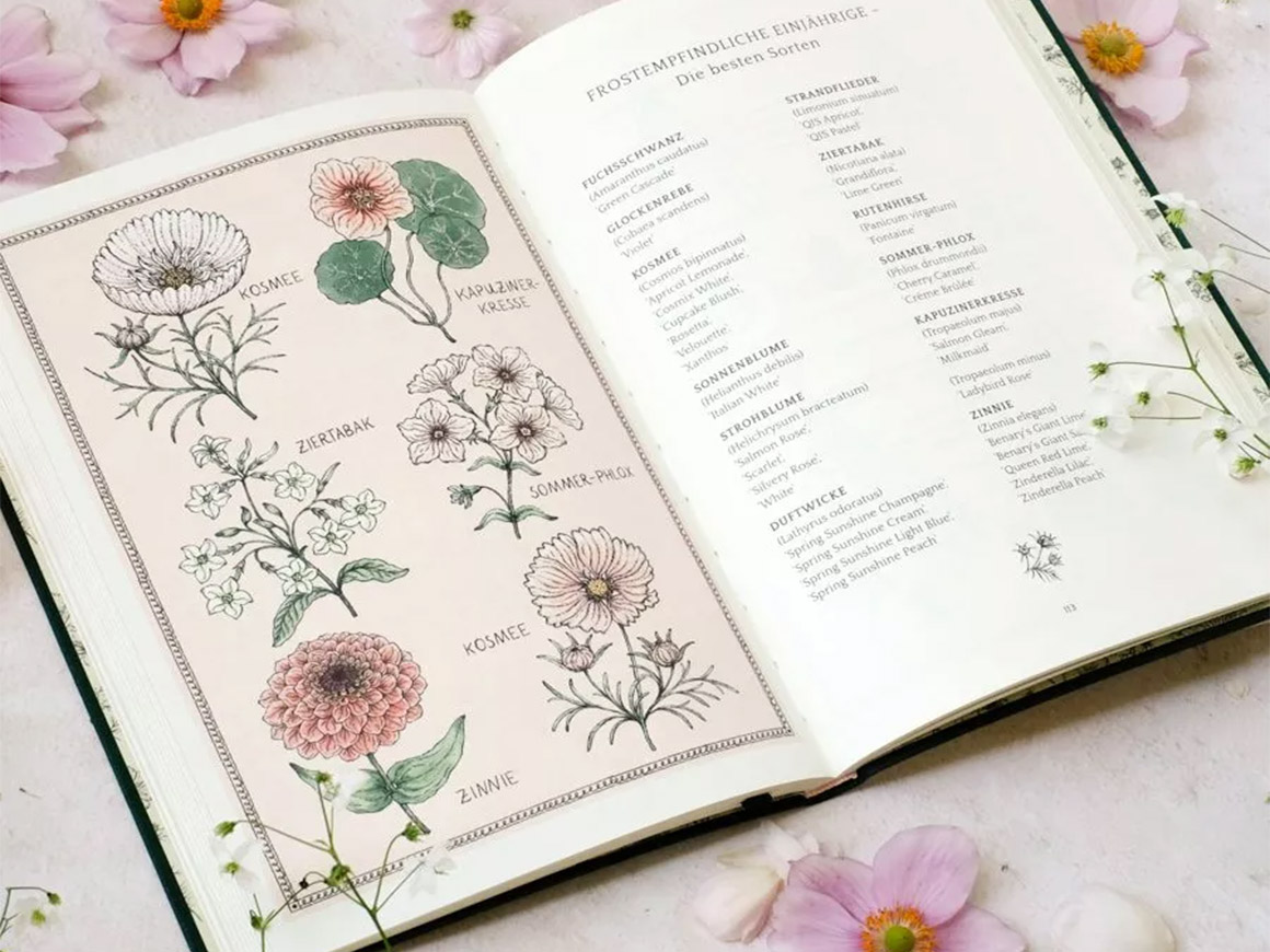 Jora Dahl, Flower Notes – Ein Blumenjournal – Bild 3