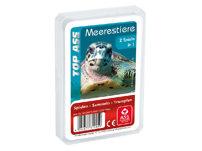 Quartett: Meerestiere