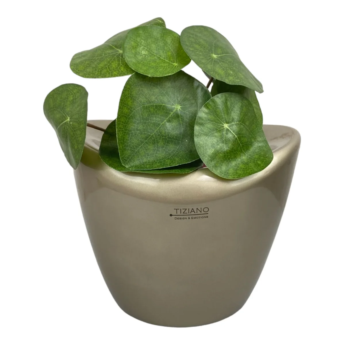Tiziano Keramik Blumenkübel Alcamo Orchideen 19cm